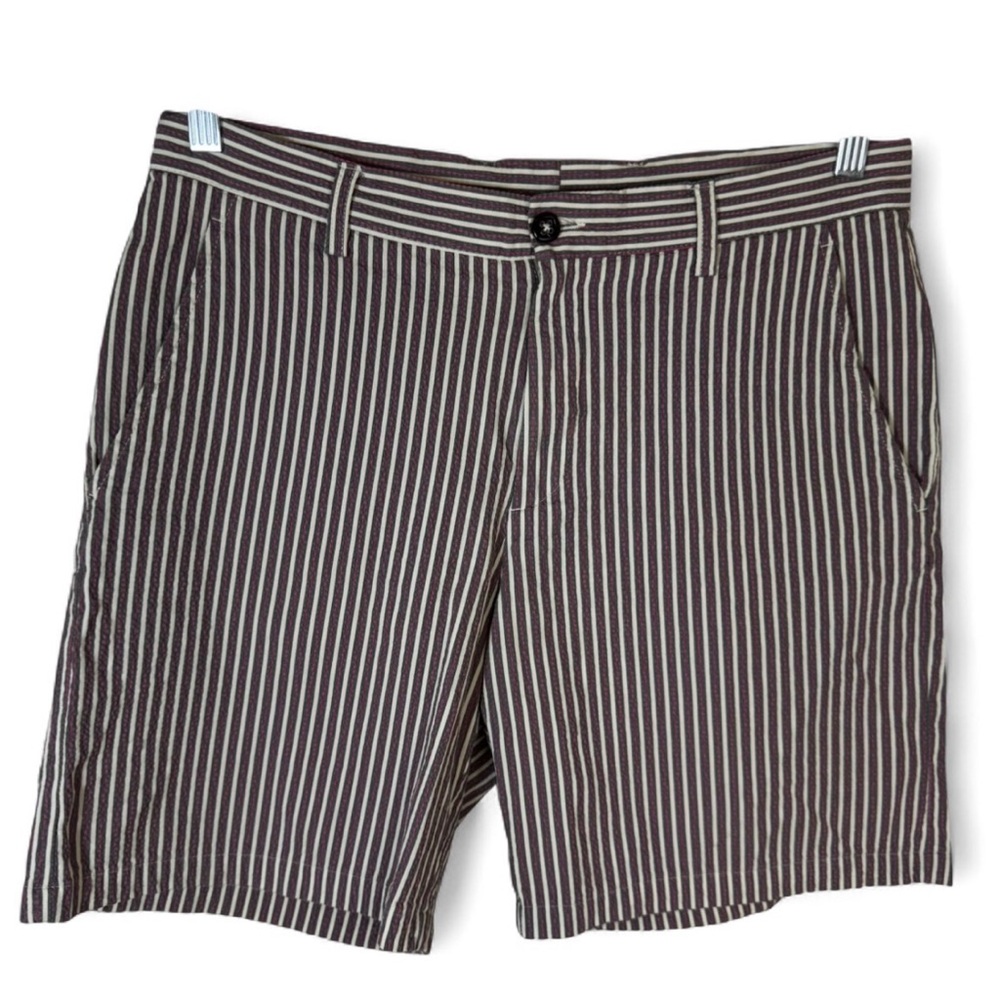 ETRO Milano Contemporary Striped Men's Shorts